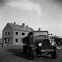 souvenirs en noir et blanc (813)